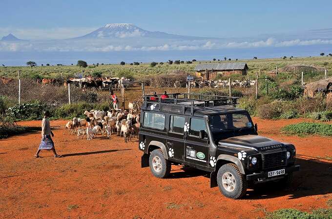 Land Rover Defender used by the Born Free Foundation at a wildlife conservation.