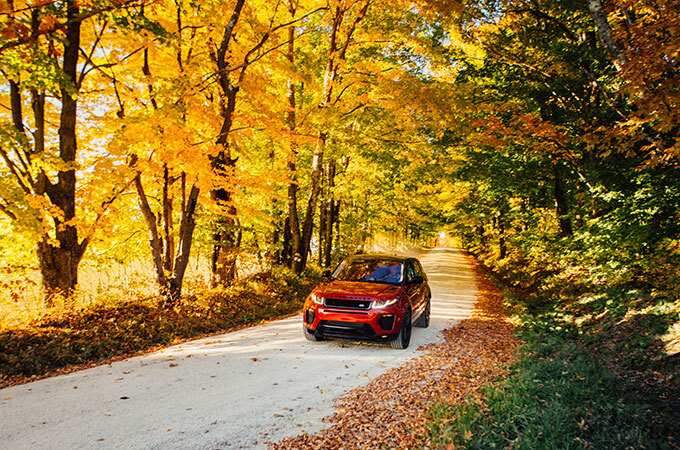 Range Rover Evoque driving through the woods during fall front side view.