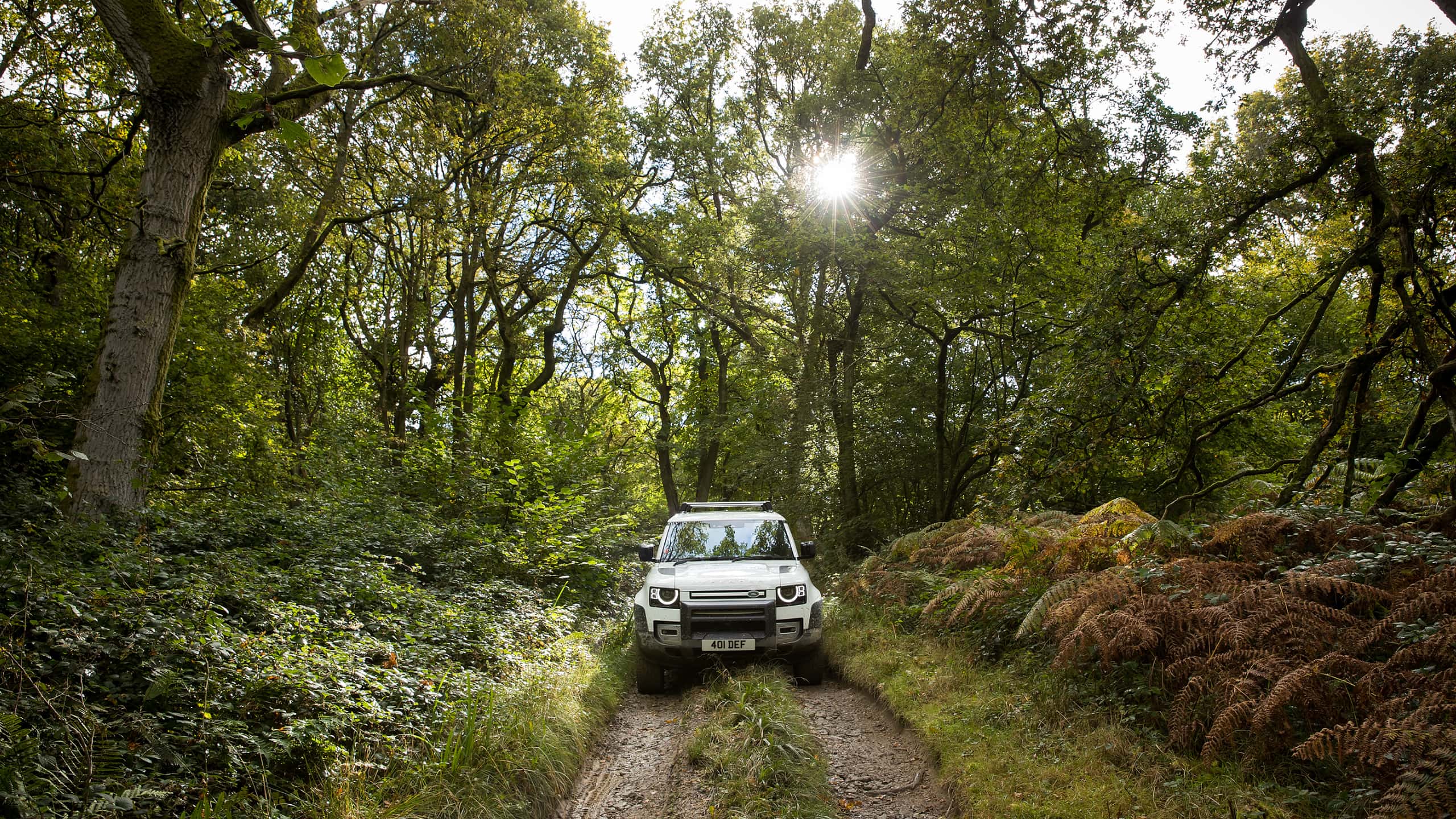 Land Rover driving through forest
